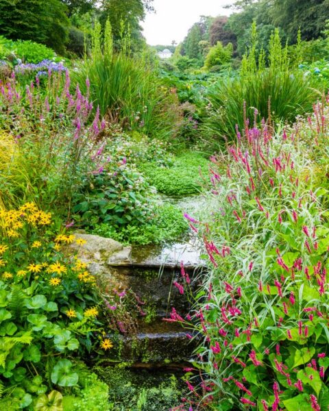 Trebah Garden jardín subtropical en Cornualles