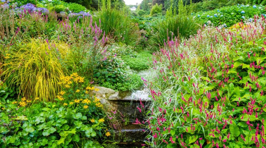 Trebah Garden jardín subtropical en Cornualles