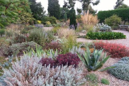 Plantas tolerantes a la sequía en el jardín de grava de Beth Chatto Gardens