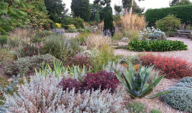 Plantas tolerantes a la sequía en el jardín de grava de Beth Chatto Gardens