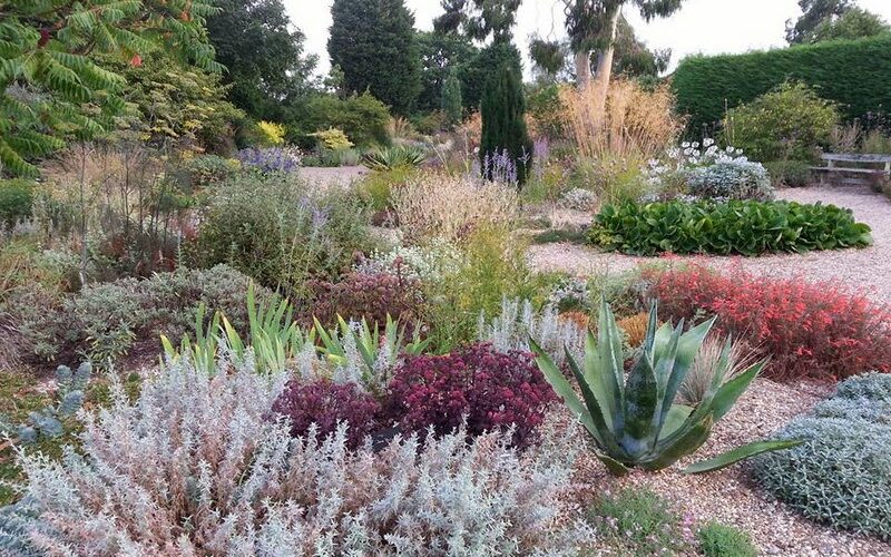 Plantas tolerantes a la sequía en el jardín de grava de Beth Chatto Gardens