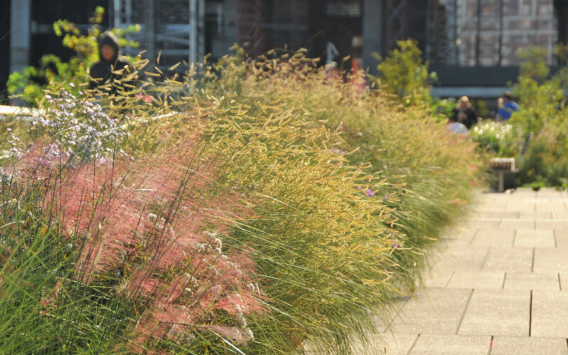 Otoño en la High Line de Nueva York