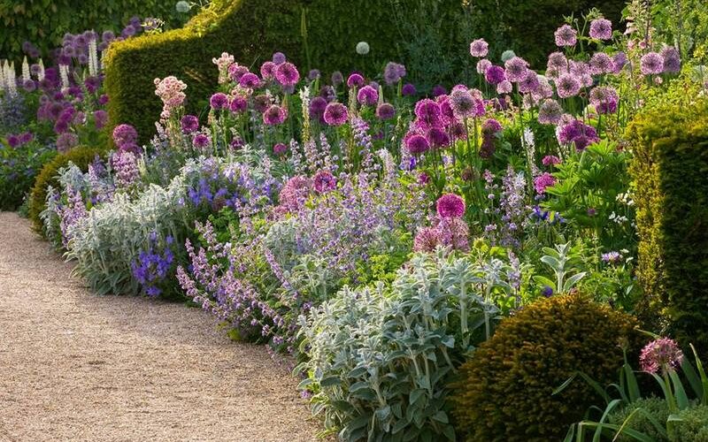 Bordura de herbáceas con Allium en los Jardines de Arundle Castlee