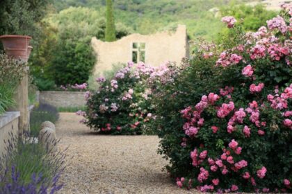 Jardines de Prieuré de la Tuiliere en la Provenza