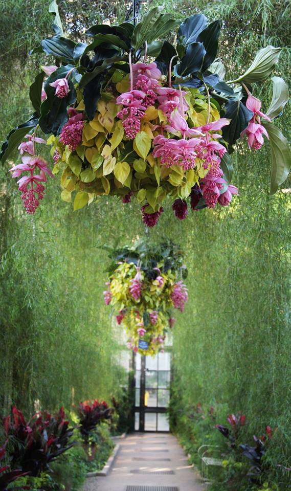 Cestas colgantes de plantas flor Longwood Gardens - EL BLOG DE LA TABLA