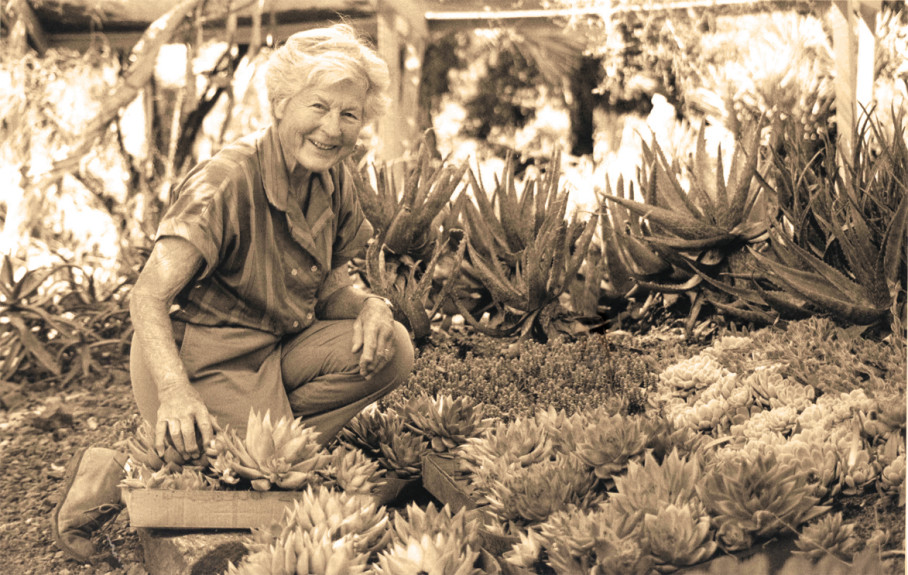 Algunas plantas suculentas del Jardín de Ruth Bancroft - EL BLOG DE LA TABLA