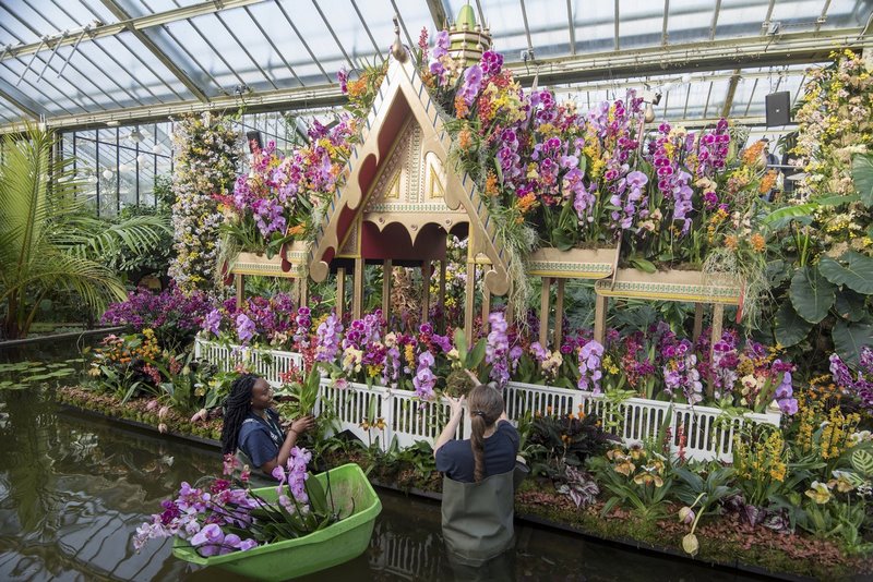 Festival de Orquídeas en Kew Gardens: un paraíso tropical inspirado en  Tailandia - EL BLOG DE LA TABLA