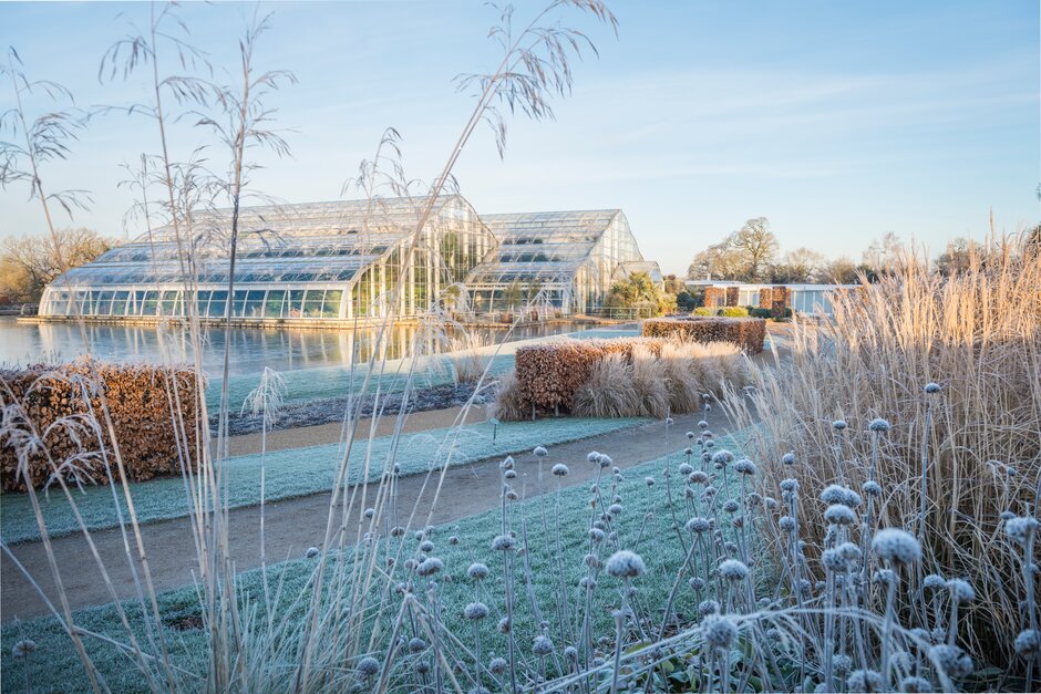 Impresiones de invierno en Wisley (RHS Garden Wisley) - EL BLOG DE LA TABLA