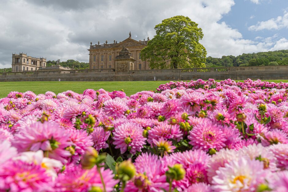 Festival floral de la RHS en Chatsworth House and Garden