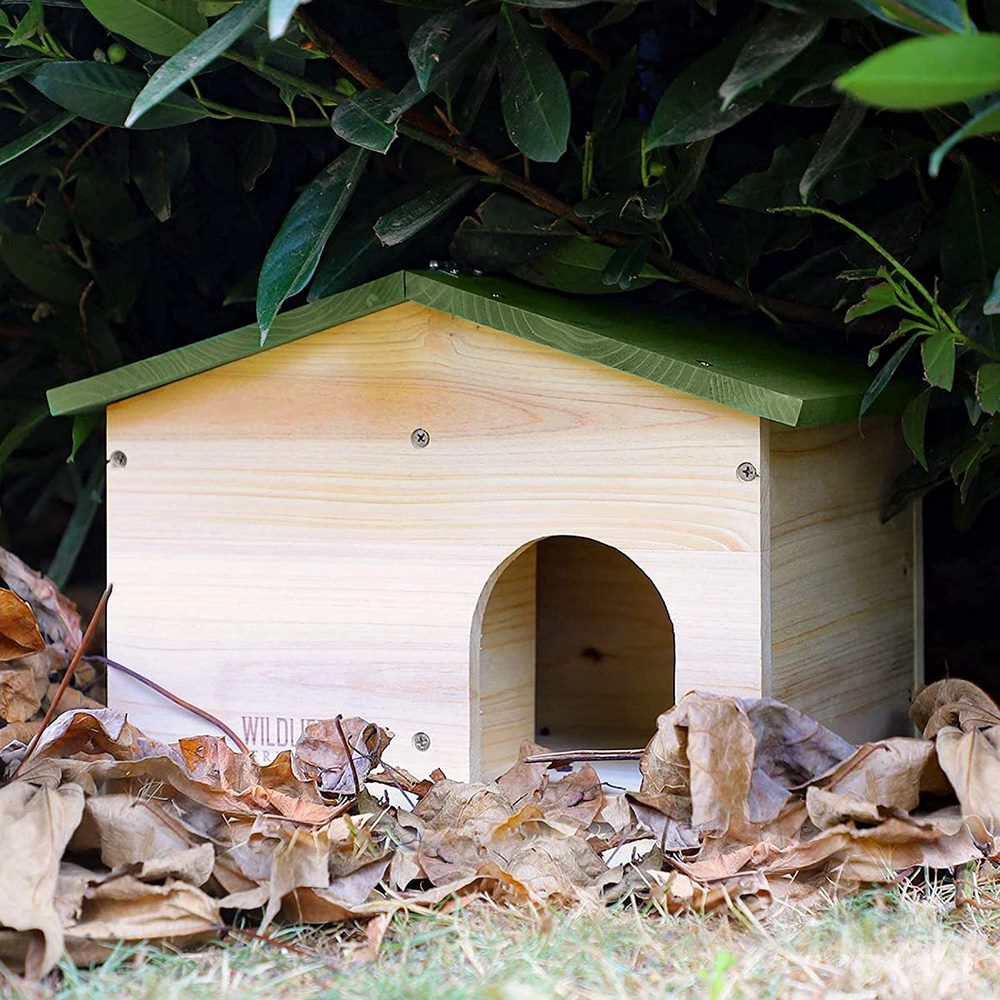 casa de madera refugio para erizos silvestres