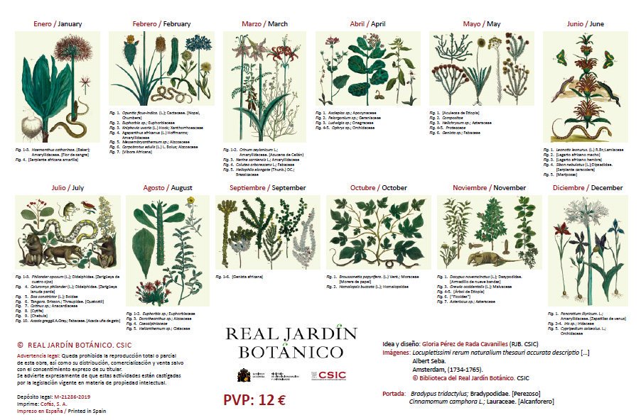 Ilustraciones del gabinete de curiosidades de Albert Seba en el Calendario 2020 Real Jardín Botánico - CSIC