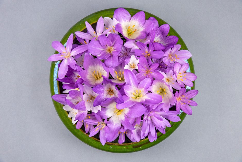 Arreglo con flores de Colchicum 