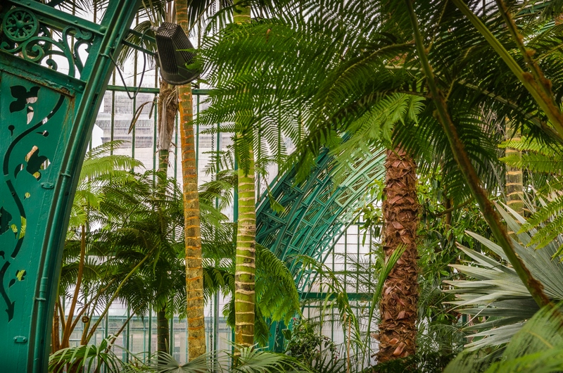 Palm House en Invernaderos Reales de Laeken 