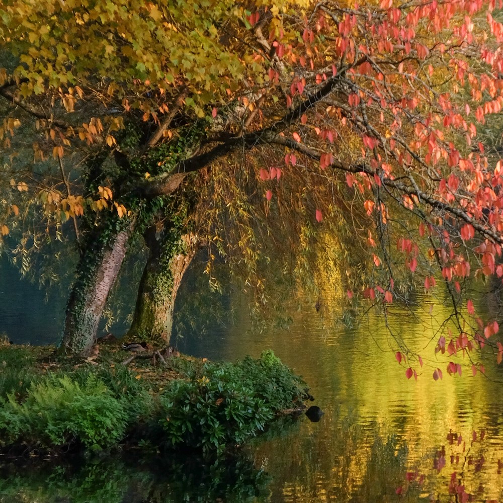 Jardines de Stourhead: paisaje de otoño