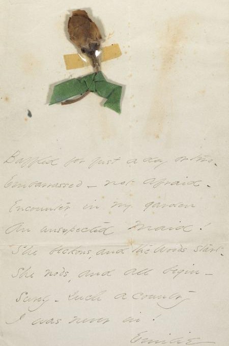 herbario de Emily Dickinson flores prensadas