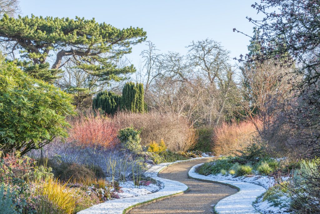 Jardín de invierno en el Botánico de Cambridge