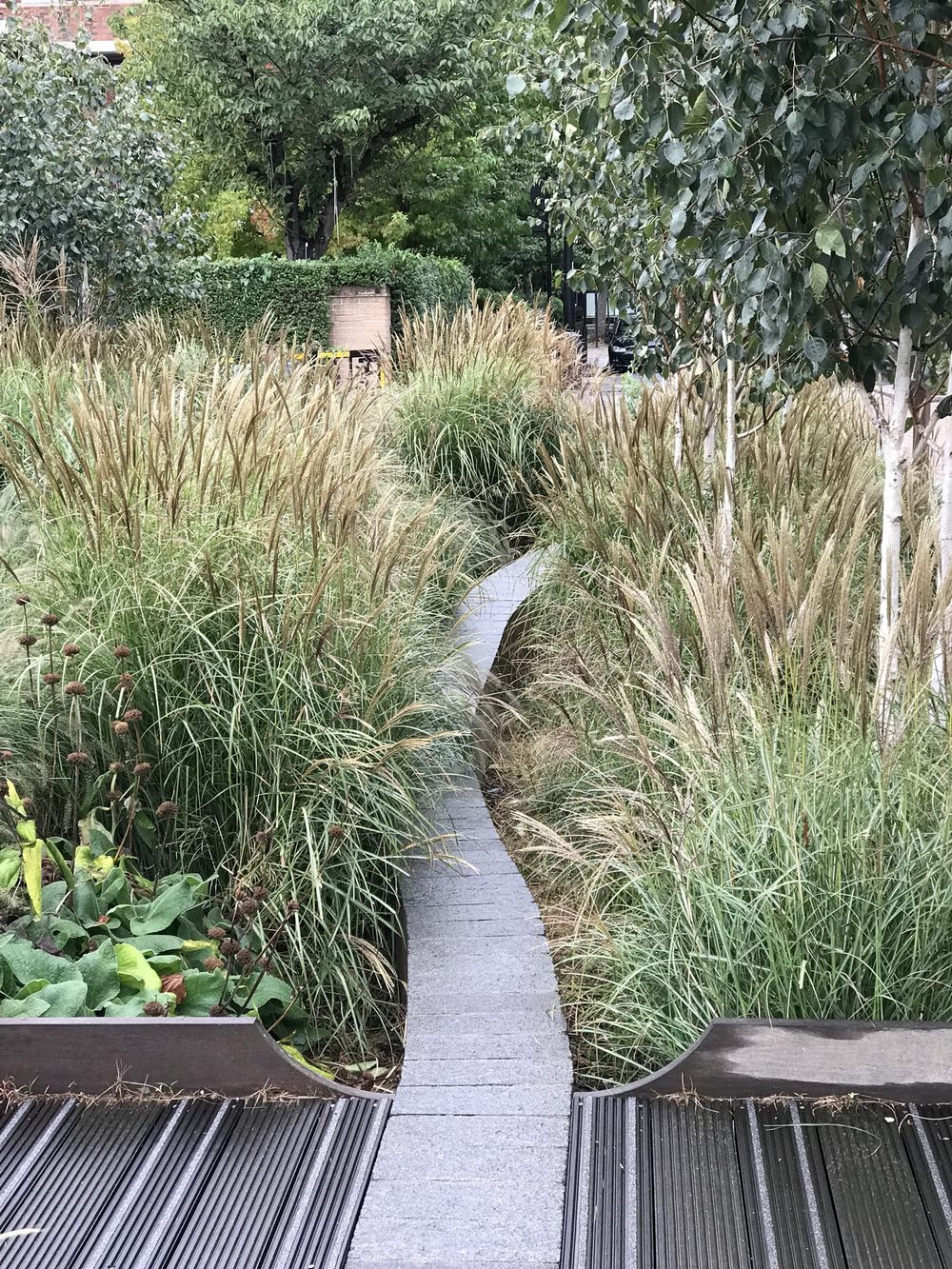 Jardín de lluvia urbano en Bridget Joyce Square, Londres