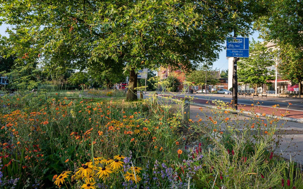 envío cuota de matrícula atleta Jardín de lluvia urbano, drenaje sostenible con valor social y  medioambiental - EL BLOG DE LA TABLA