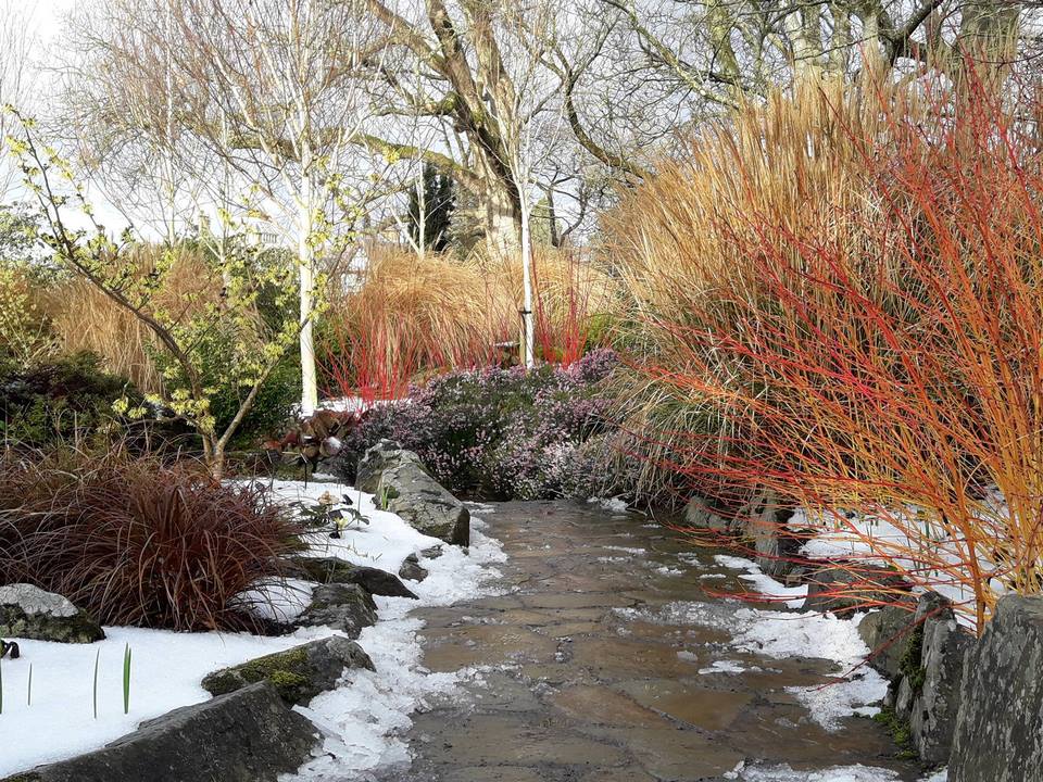 Bodnant Garden jardin invierno