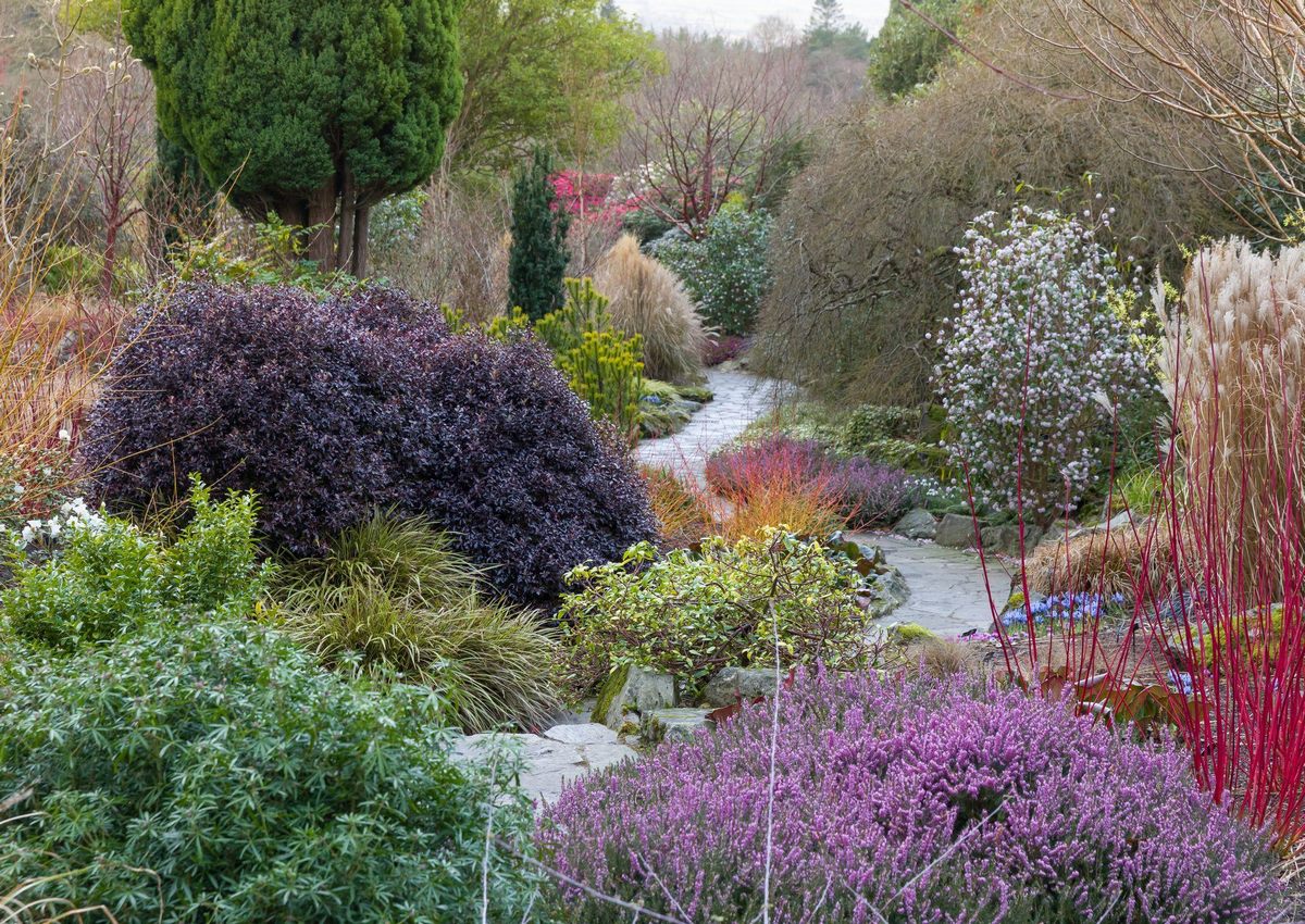 Bodnant Garden jardin invierno