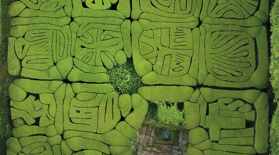 Parterre de boj en el Claustro de San Lorenzao de Trasouto