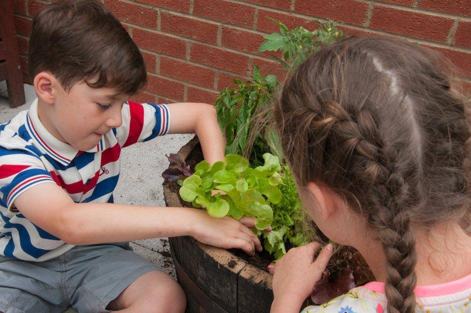 Niños plantando en una maceta. Campaña 'School Gardening' 