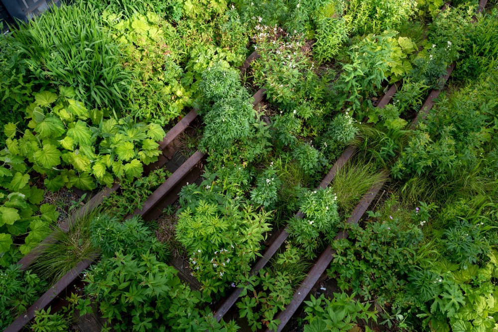 High Line Nueva York