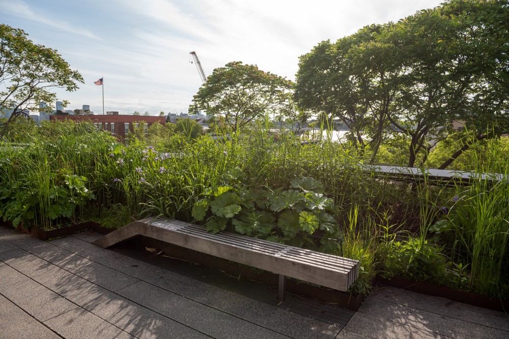 High Line Nueva York