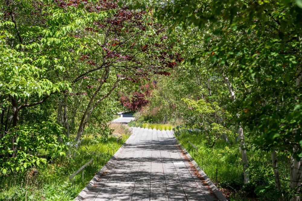 High Line Nueva York