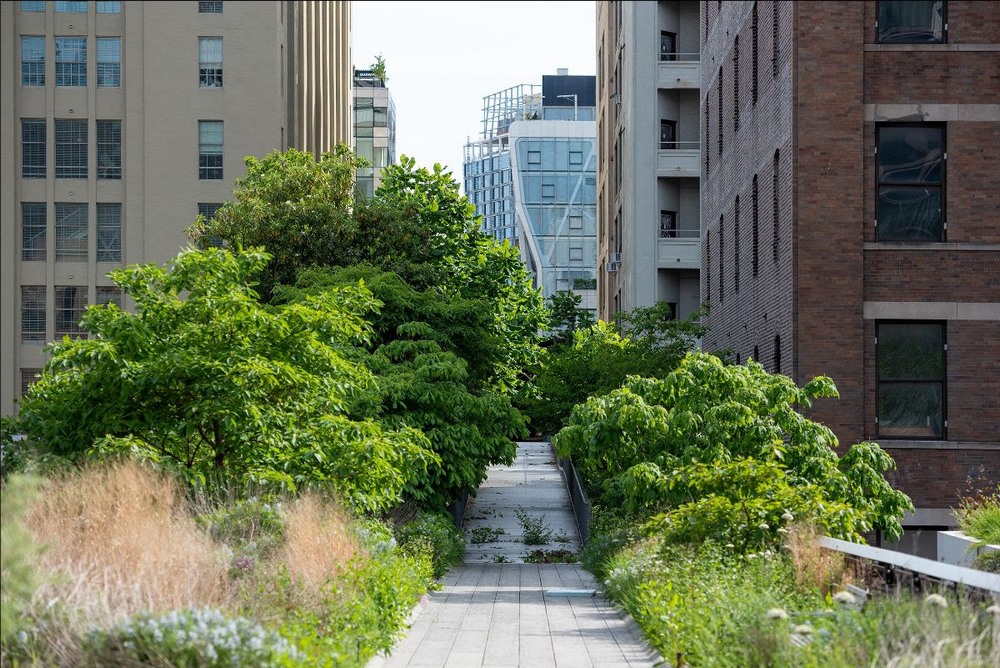 High Line Nueva York