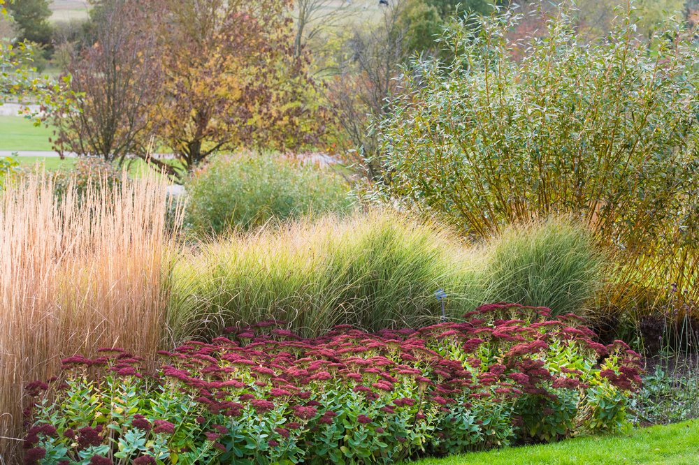 Borduras de herbáceas en otoño en Clover Hill. RHS Garden Hyde Hall 