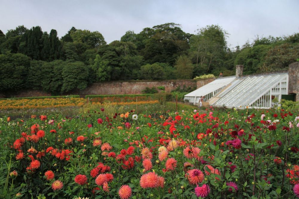 Jardín de flores Heligan