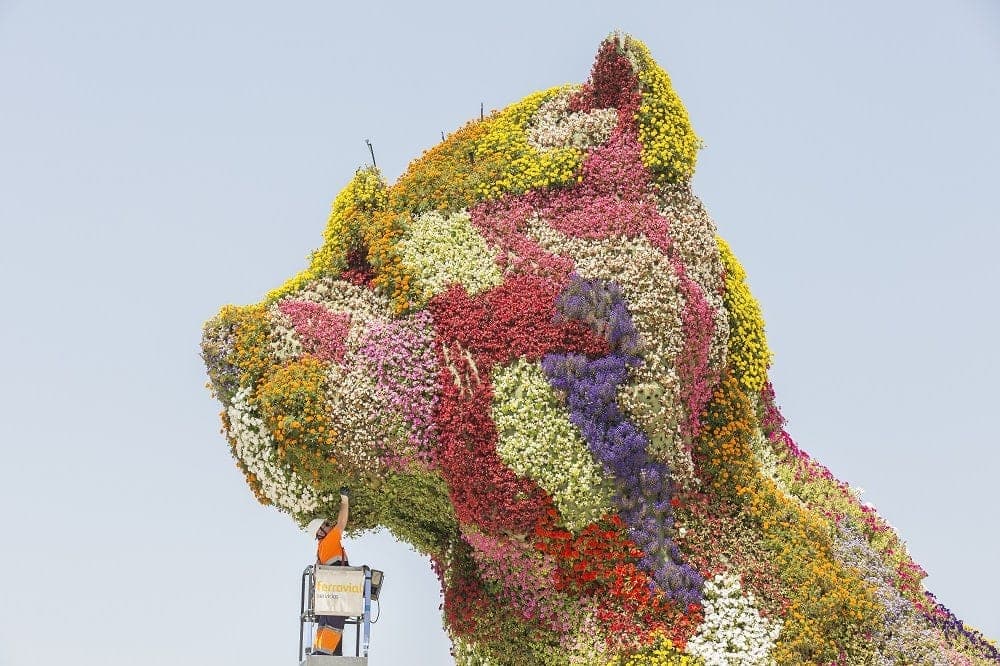 Mantenimiento de Puppy, el perro de flores que custodia el Museo Guggenheim de Bilbao