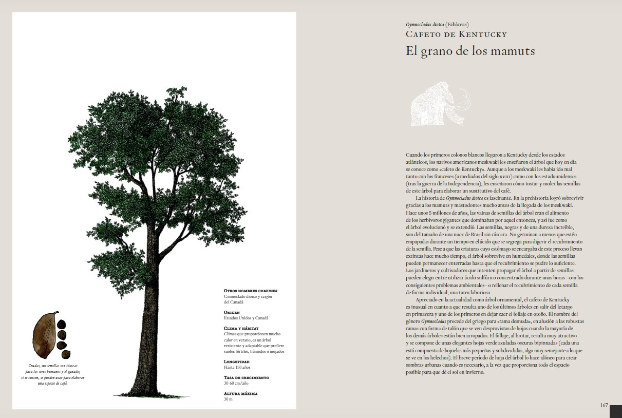 La historia de los árboles y de cómo han cambiado nuestra forma de vida -  EL BLOG DE LA TABLA