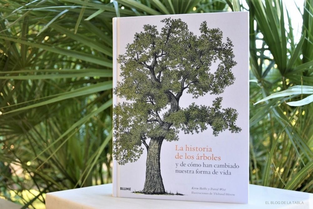 La historia de los árboles y de cómo han cambiado nuestra forma de vida -  EL BLOG DE LA TABLA