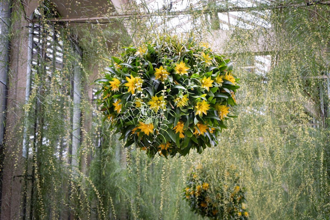 Desafiando al invierno: colgantes con Guzmania, plantas en flor y plantas de interior en el invernadero de Longwood - EL BLOG DE LA TABLA