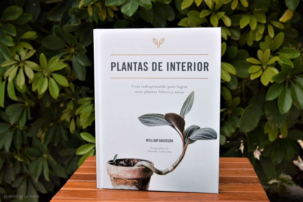 plantas interior guía indispensable