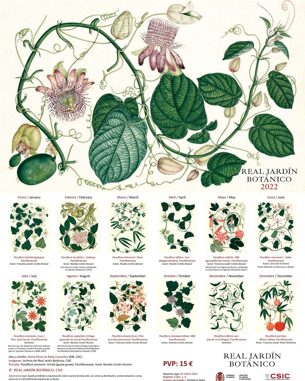 Ilustraciones botánicas de passifloras, flora de la pasion, pasionaria o flor del sufrimiento