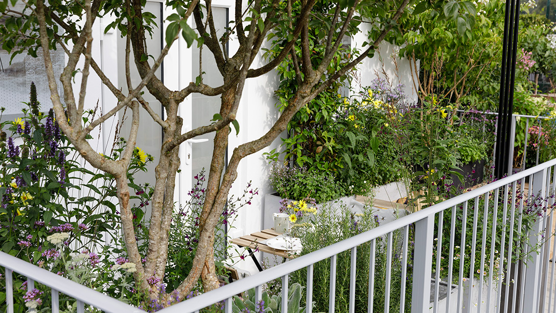 Jardines de bolsillo, jardines en balcones diseñados por paisajistas británicos para RHS Chelsea Flower Show 2021, el festival de primavera que este año se celebra en otoño