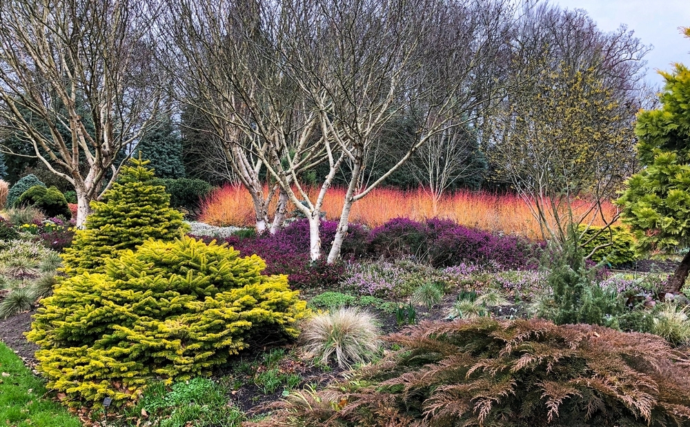 Jardín de Invierno en Bressingham Gardens 