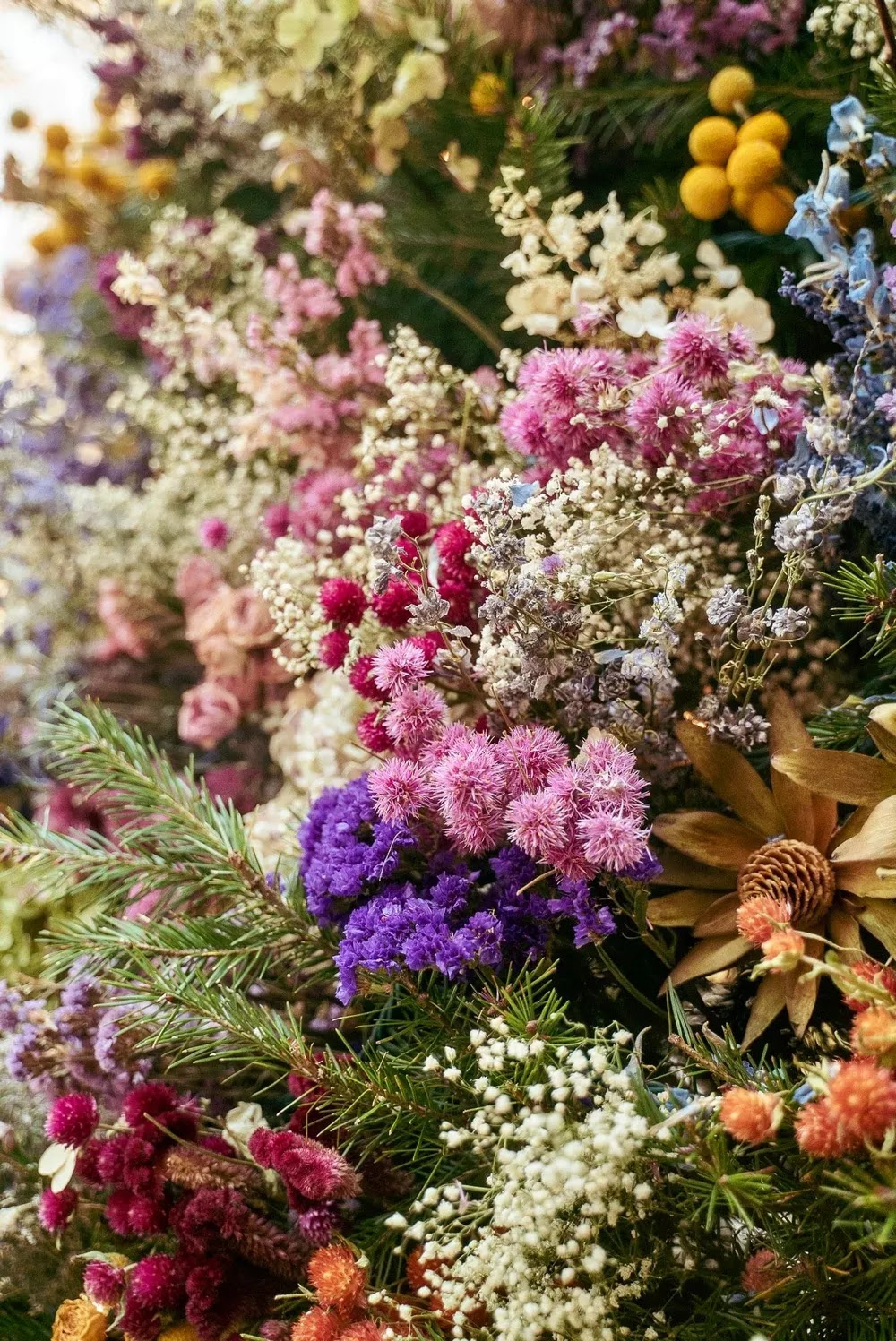 flores secas de diferentes colores