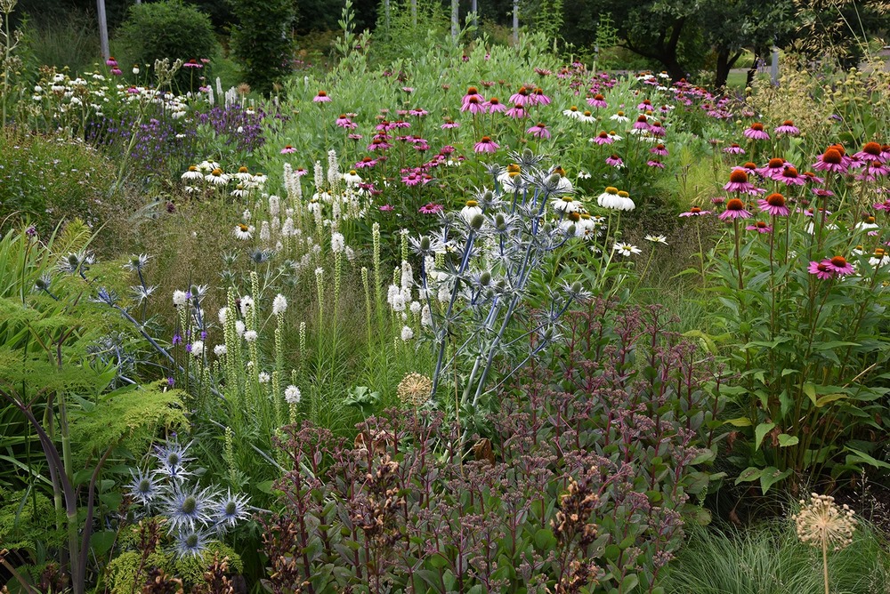 Ebertpark. Ludwigshafen, Alemania