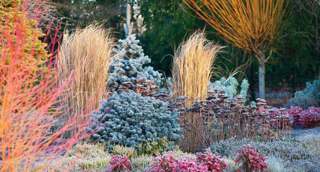 Jardín de Invierno en Bressingham Gardens