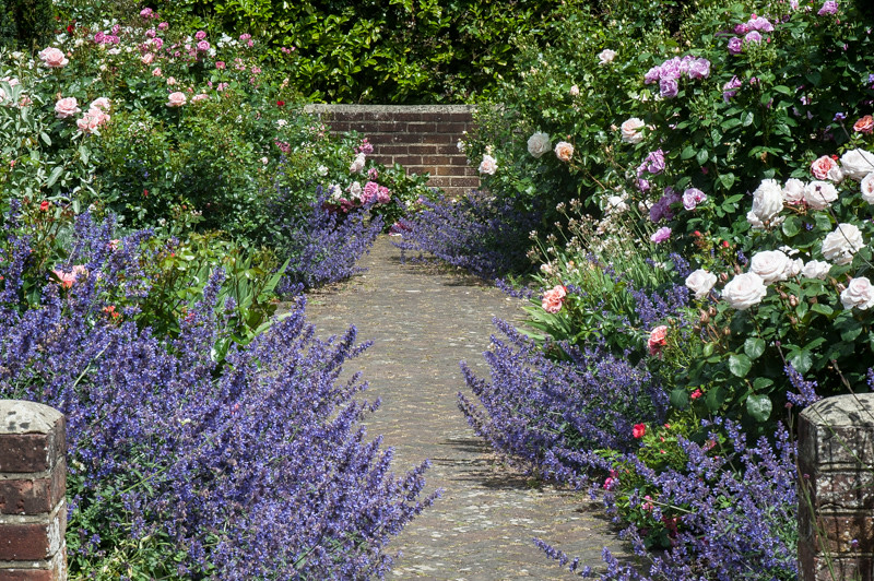 Rose garden, Borde Hill