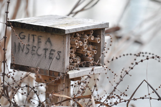 Gite à insectes (Bugs house), parc de bercy, Paris