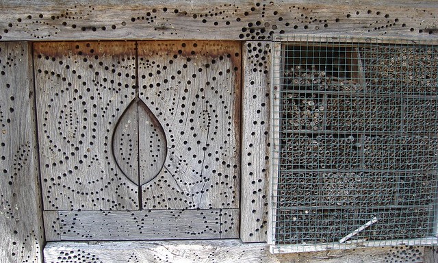 INSECT HOUSE