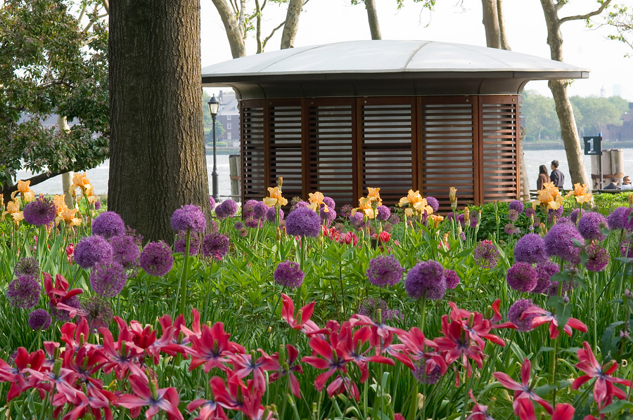 Jardín de plantas bulbosas de flor combinadas con vivaces y arbustos diseñado por Jacqueline van der Kloet en Battery Park