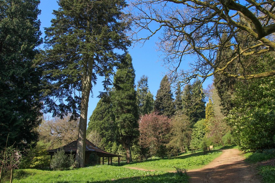 Arboreto Arboretum