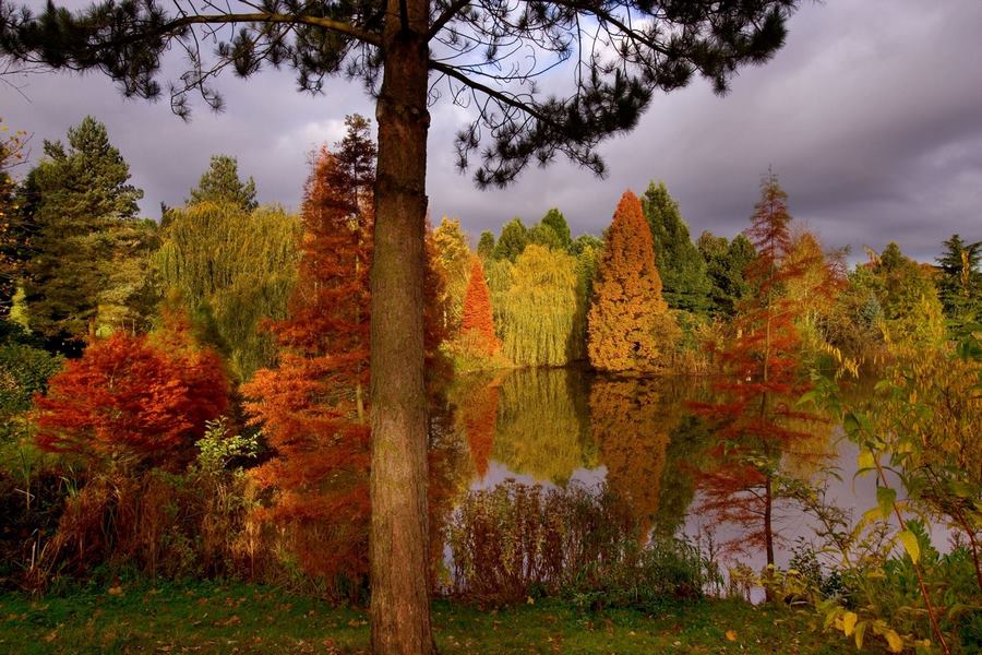 Arboreto Arboretum