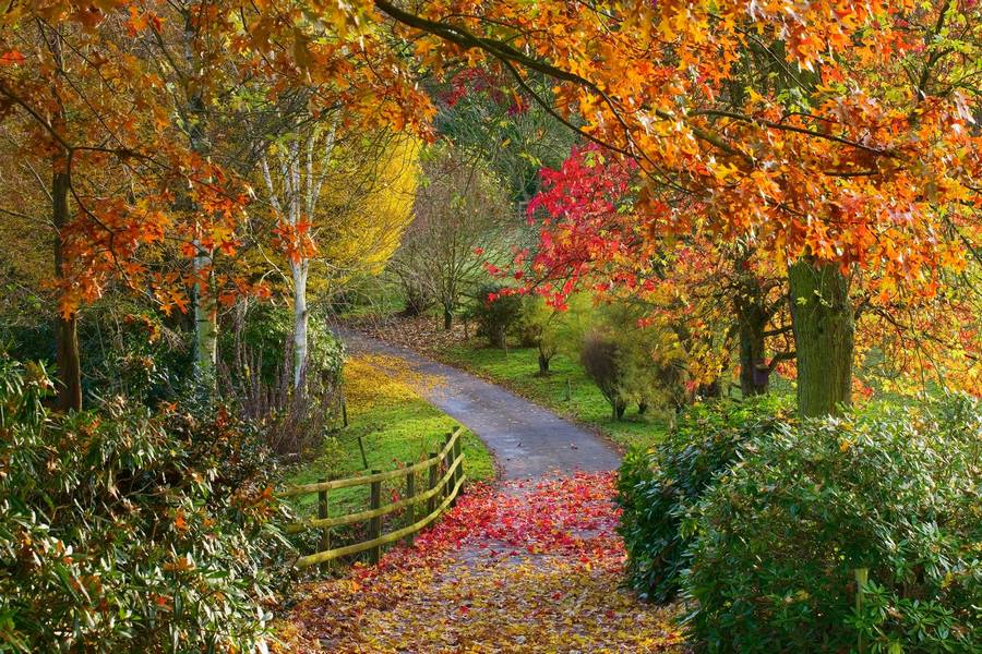 Arboreto Arboretum.
Bodenham Arboretum, Worcestershire 